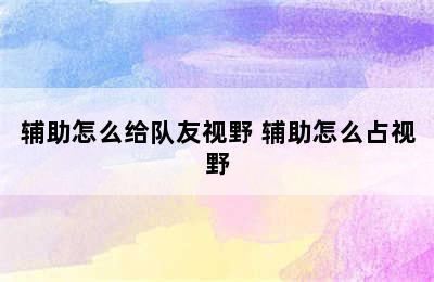 辅助怎么给队友视野 辅助怎么占视野